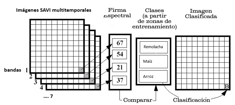 Image that schematically represents the image classification process