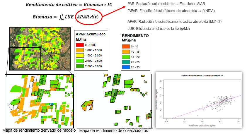 Representative image of the calculation of biomass and derived crop yield in maize