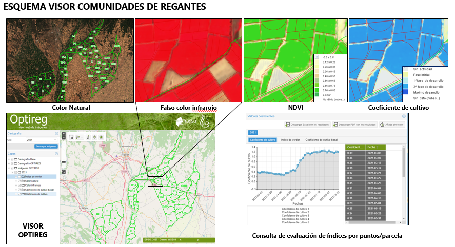 Representative image of an OPTIREG viewer scheme for irrigation communities in León