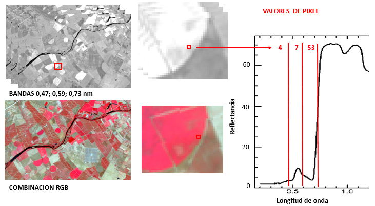 Image representing the numerical value of reflectance in a pixel in 3 bands