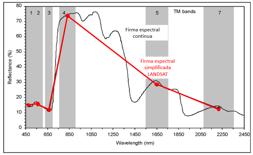 Graphic representing the spectral signature of a plant cover