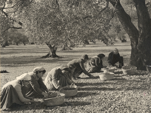 Women sowing a field