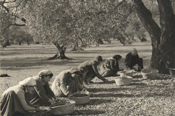 Women sowing a field