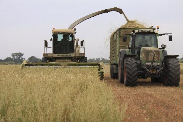 Tractor harvesting wheat